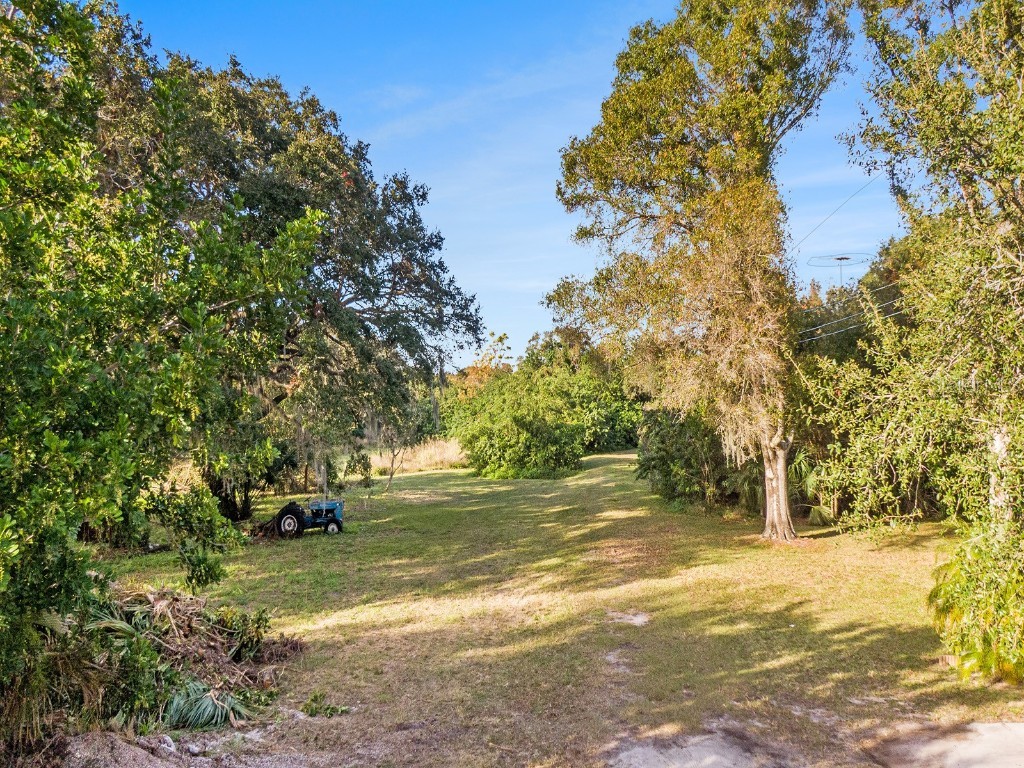 Dr Ml King Jr Street N Safety Harbor FL 34695 U8186297 image2