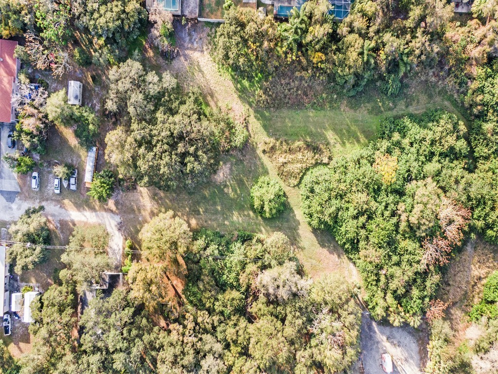 Dr Ml King Jr Street N Safety Harbor FL 34695 U8186297 image4