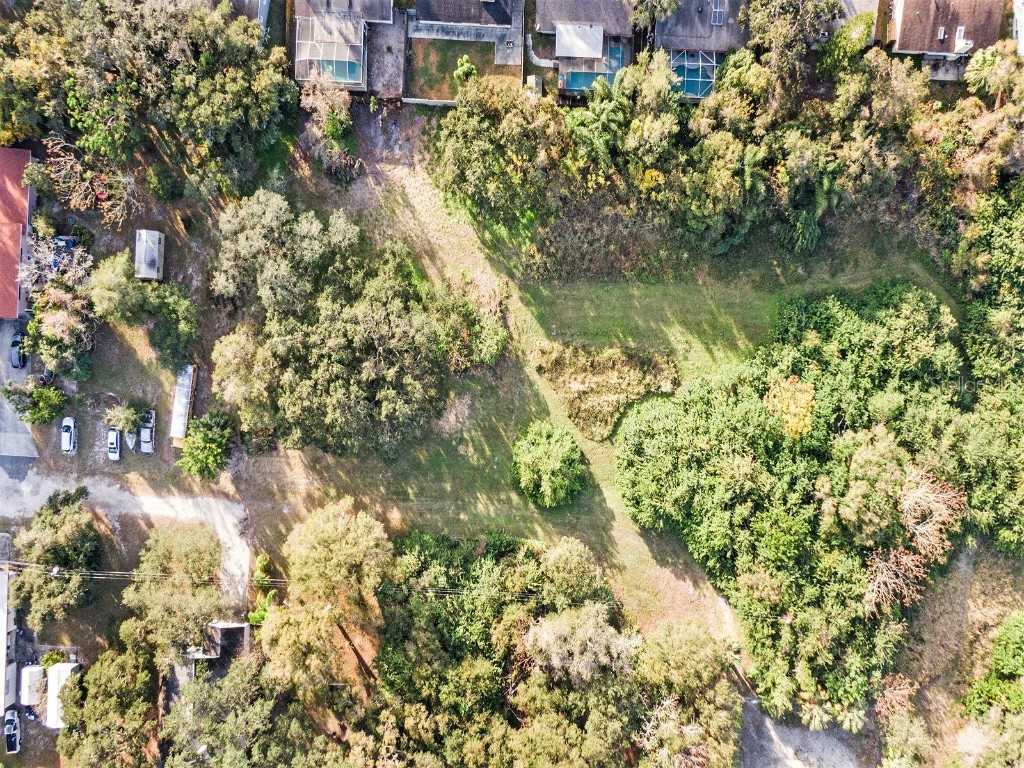 Dr Ml King Jr Street N Safety Harbor FL 34695 U8186297 image5