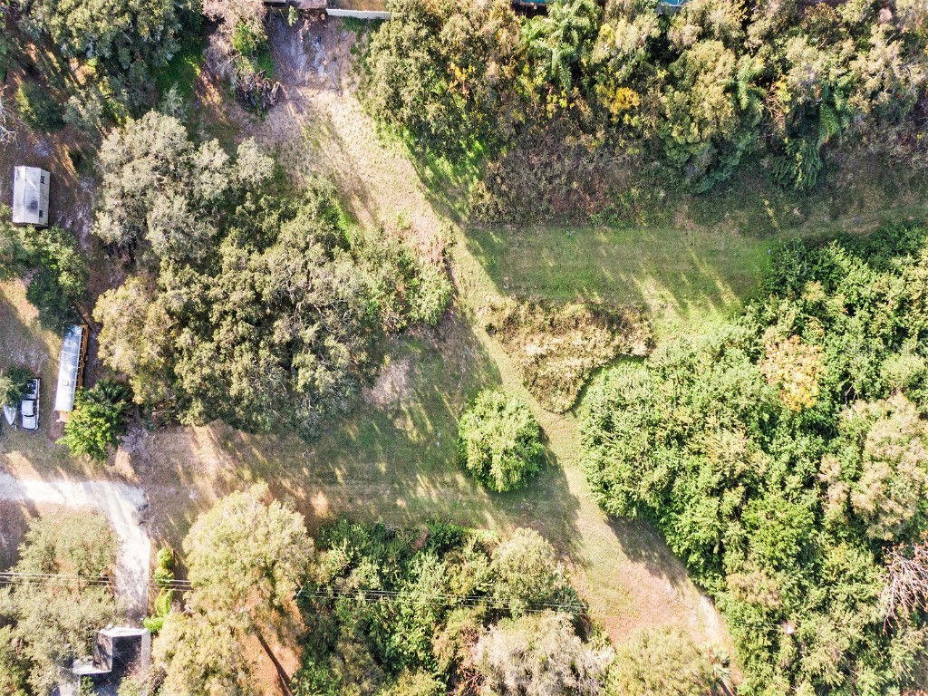 Dr Ml King Jr Street N Safety Harbor FL 34695 U8186297 image6