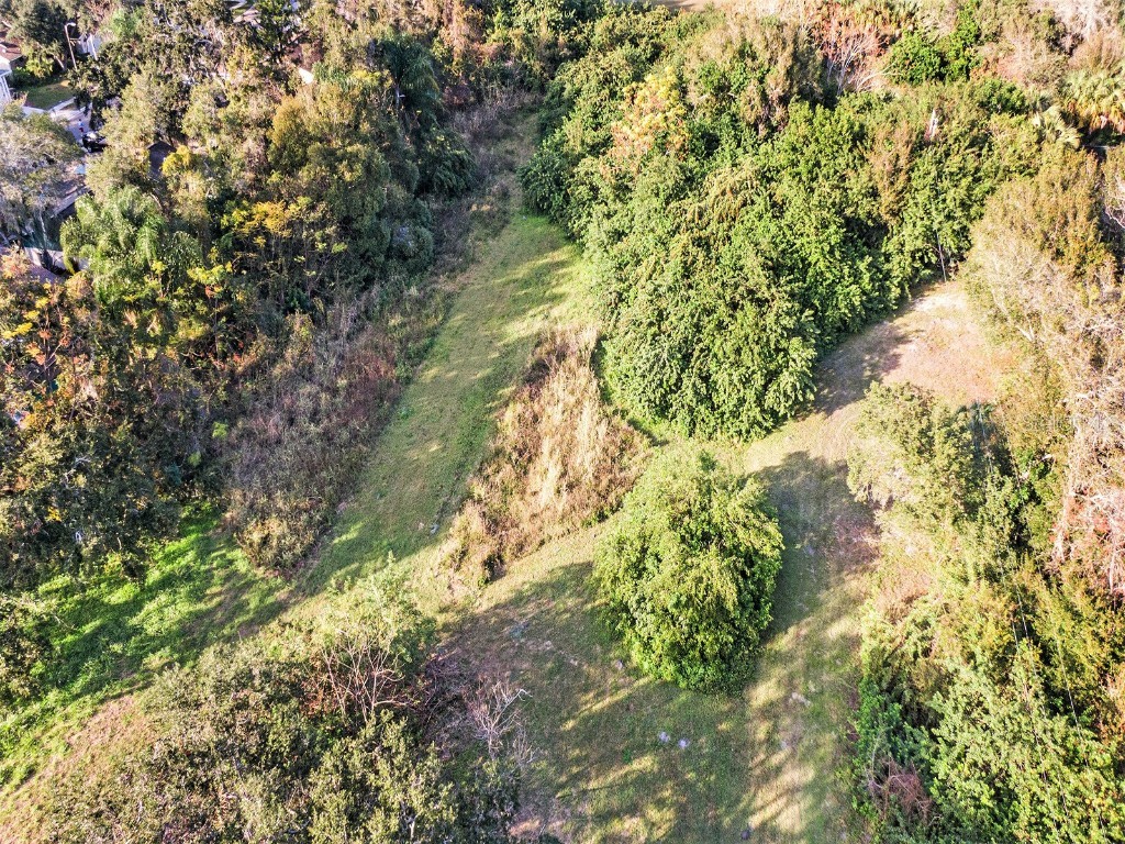 Dr Ml King Jr Street N Safety Harbor FL 34695 U8186297 image7