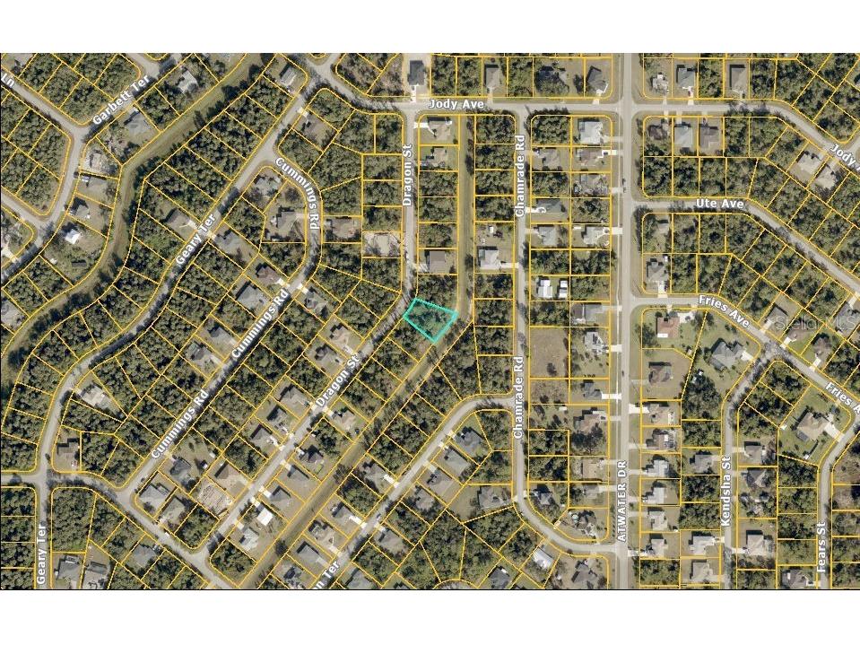 Dragon Street North Port FL 34288 C7517410 image2