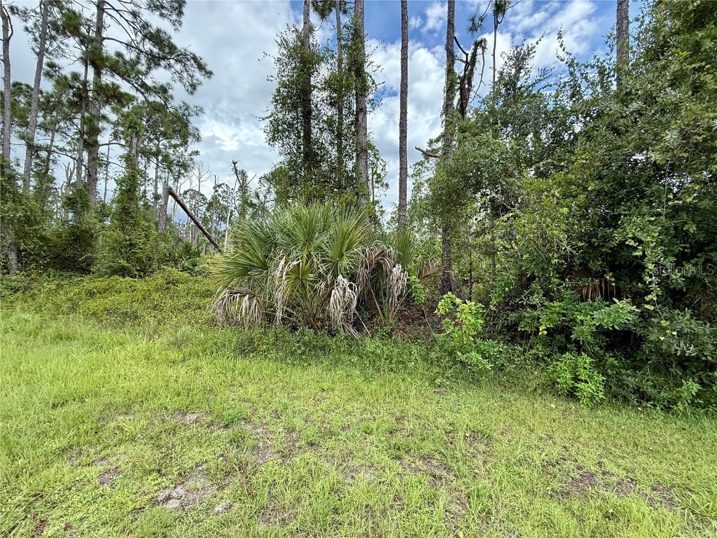 Dragonfly Ave North Port FL 34288 C7513410 image5