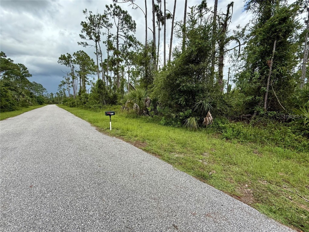 Dragonfly Ave North Port FL 34288 C7513410 image6