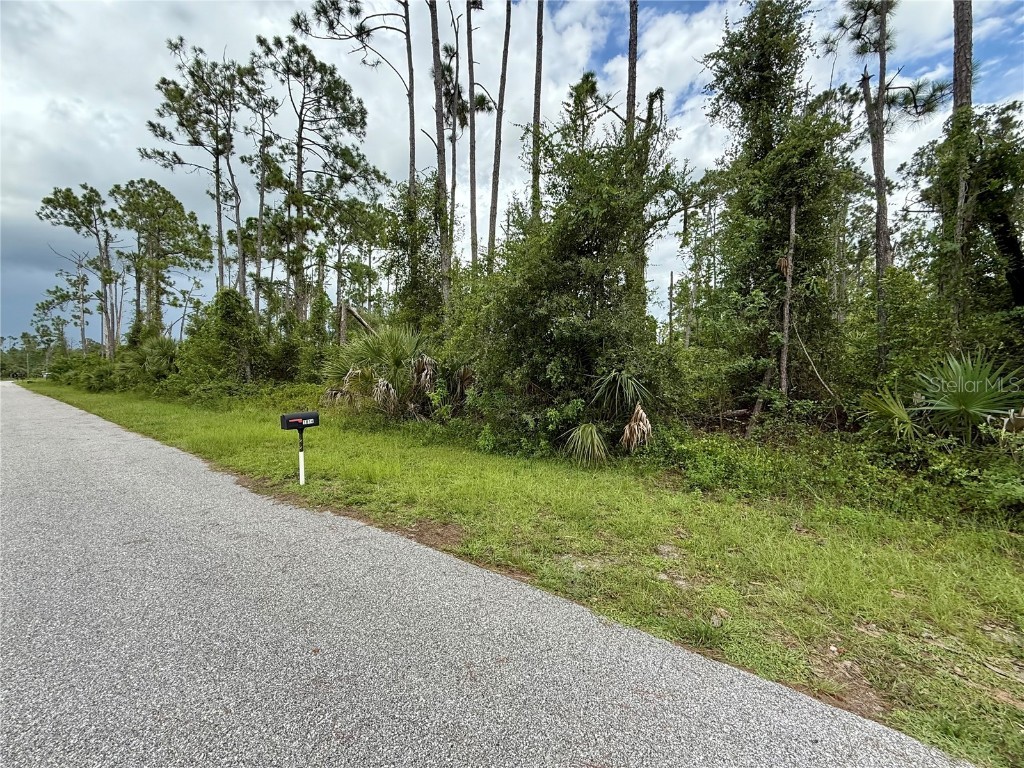 Dragonfly Ave North Port FL 34288 C7513410 image7