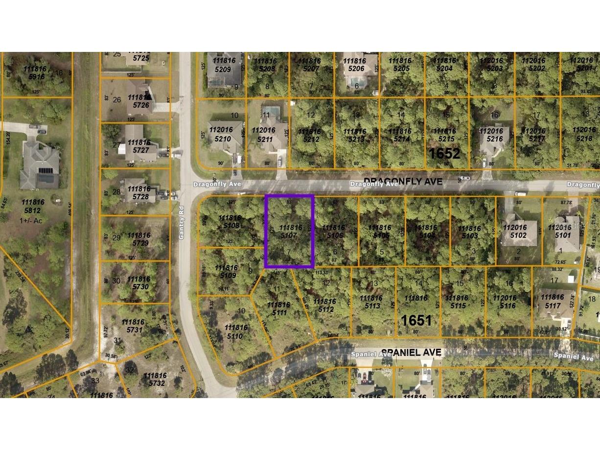 Dragonfly Avenue North Port FL 34288 A4511700 image1