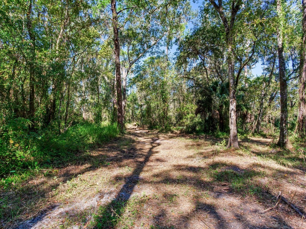 Drawdy Road Plant City FL 33567 TB8445118 image10