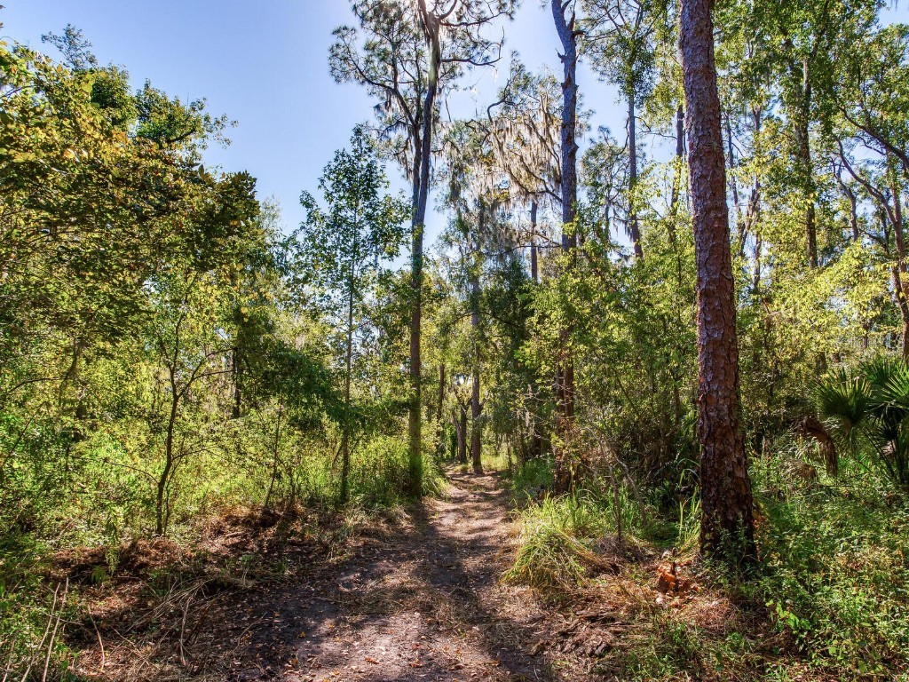 Drawdy Road Plant City FL 33567 TB8445118 image11