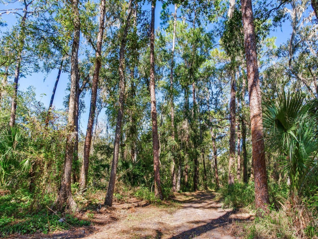 Drawdy Road Plant City FL 33567 TB8445118 image12