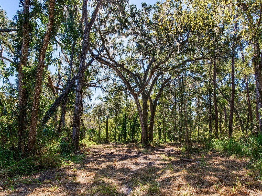 Drawdy Road Plant City FL 33567 TB8445118 image13