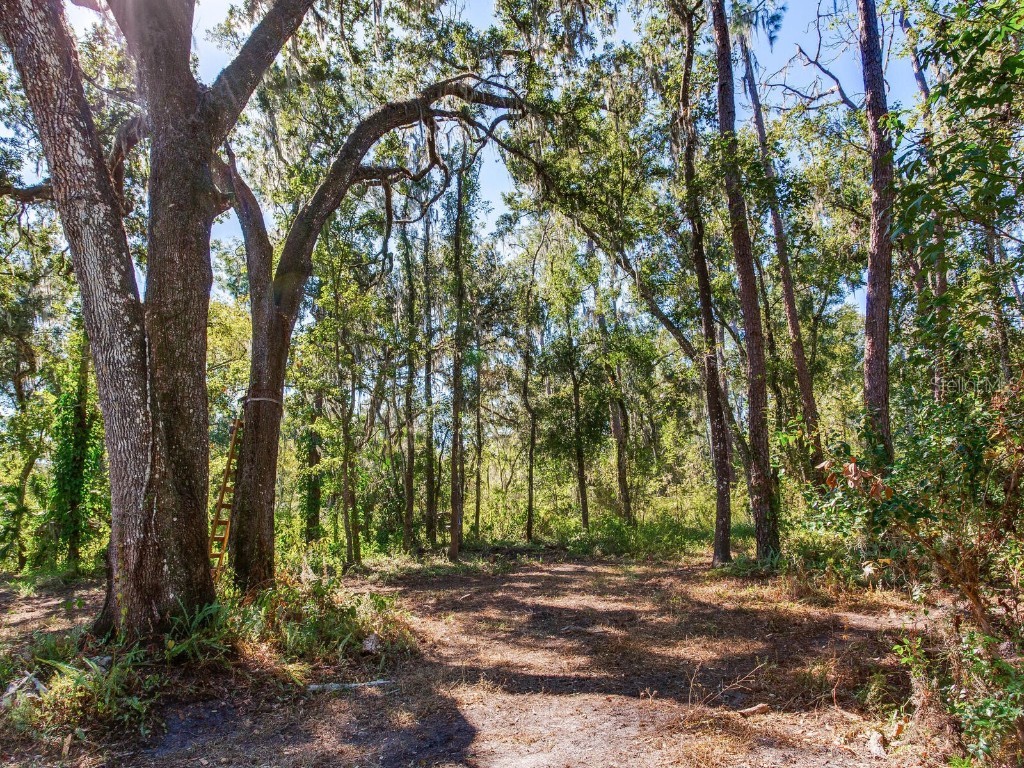 Drawdy Road Plant City FL 33567 TB8445118 image14