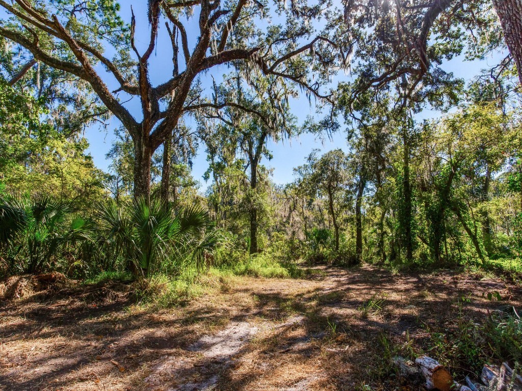 Drawdy Road Plant City FL 33567 TB8445118 image15