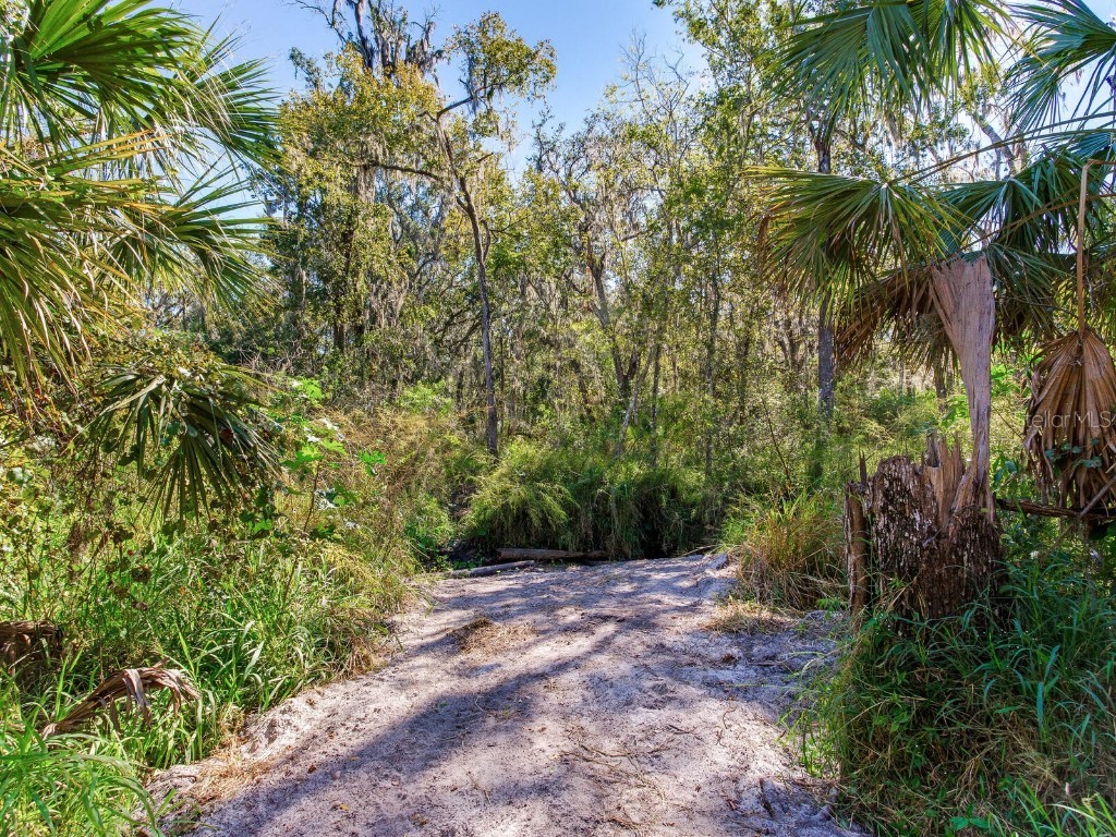 Drawdy Road Plant City FL 33567 TB8445118 image18