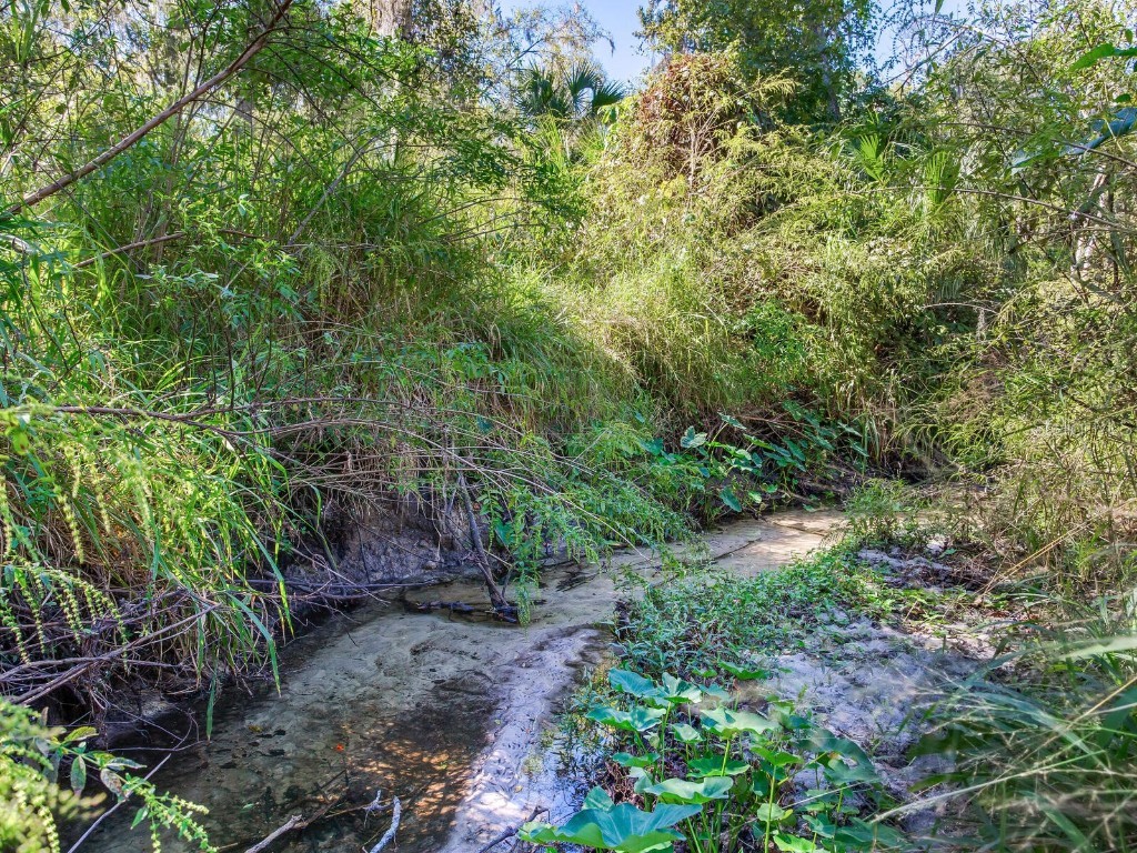 Drawdy Road Plant City FL 33567 TB8445118 image19