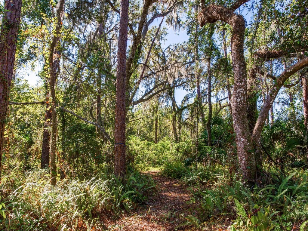 Drawdy Road Plant City FL 33567 TB8445118 image2