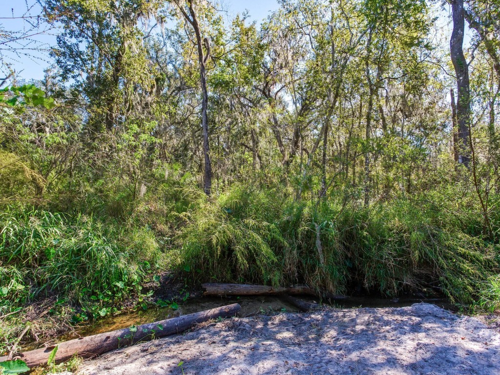 Drawdy Road Plant City FL 33567 TB8445118 image20