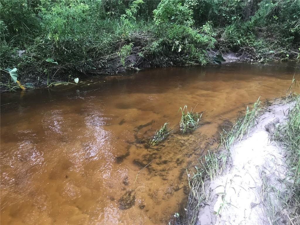 Drawdy Road Plant City FL 33567 TB8445118 image21