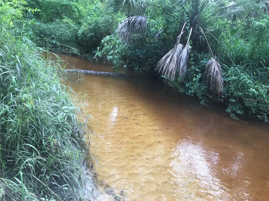 Drawdy Road Plant City FL 33567 TB8445118 image22