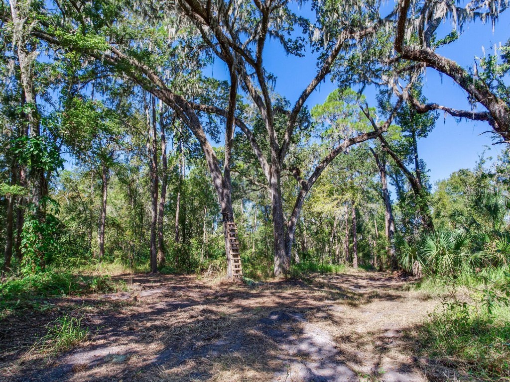 Drawdy Road Plant City FL 33567 TB8445118 image23