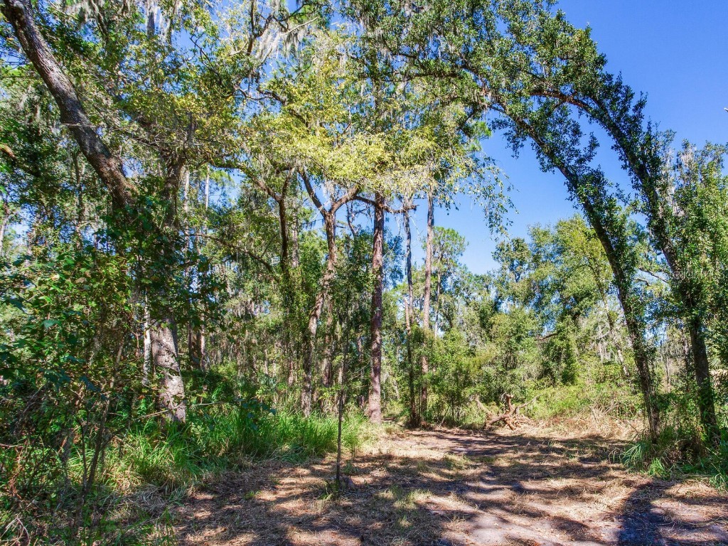 Drawdy Road Plant City FL 33567 TB8445118 image24