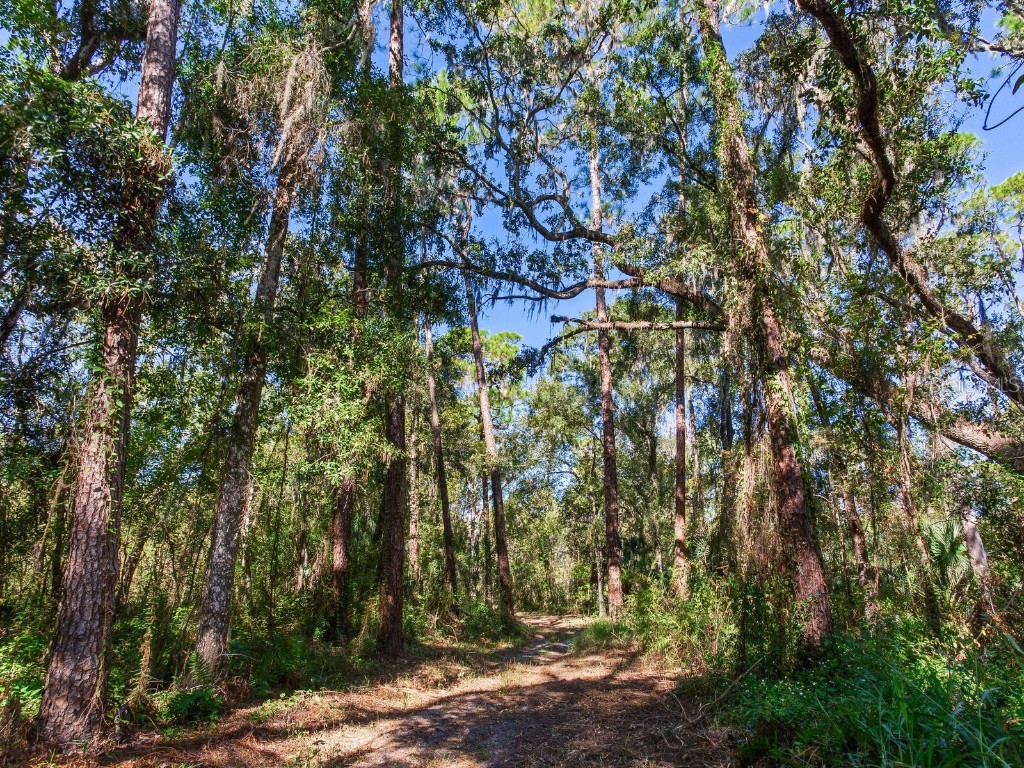 Drawdy Road Plant City FL 33567 TB8445118 image25