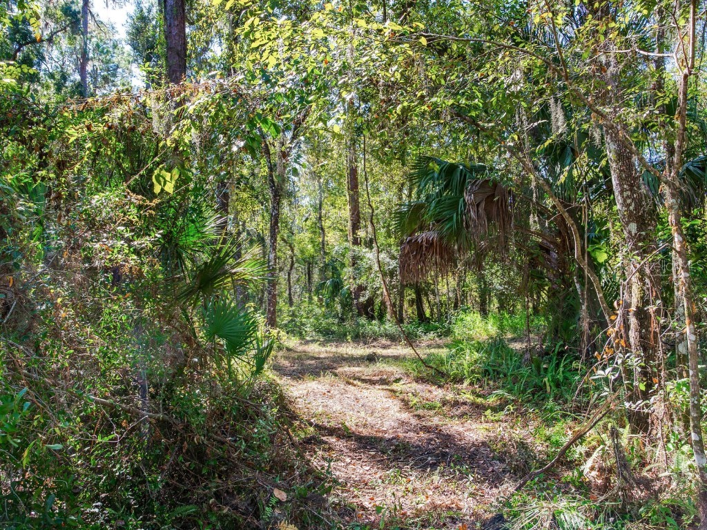 Drawdy Road Plant City FL 33567 TB8445118 image26