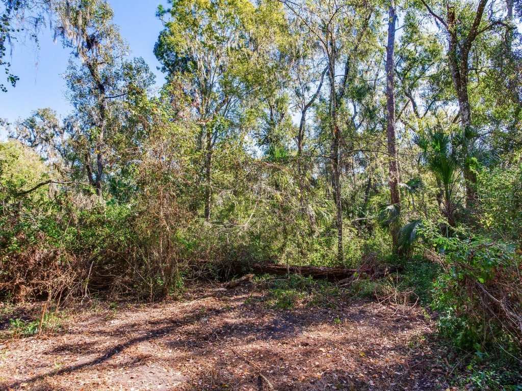 Drawdy Road Plant City FL 33567 TB8445118 image27