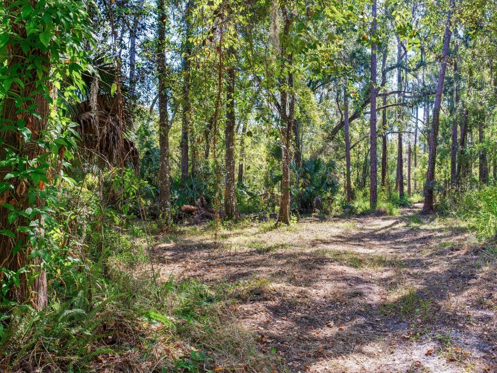 Drawdy Road Plant City FL 33567 TB8445118 image28