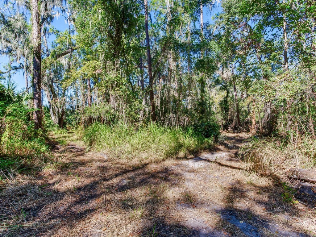 Drawdy Road Plant City FL 33567 TB8445118 image29