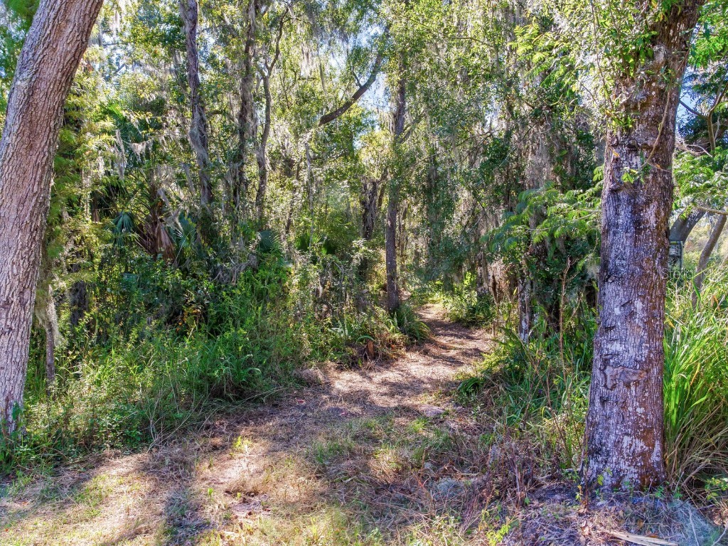 Drawdy Road Plant City FL 33567 TB8445118 image3