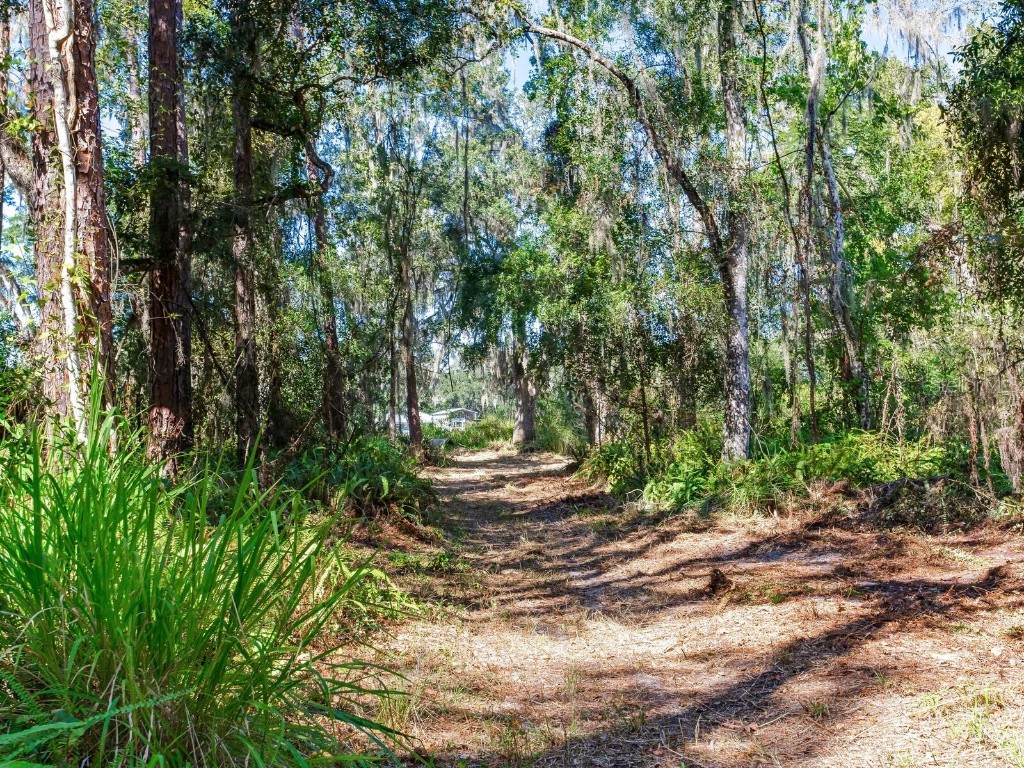 Drawdy Road Plant City FL 33567 TB8445118 image30