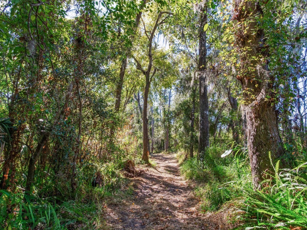 Drawdy Road Plant City FL 33567 TB8445118 image4