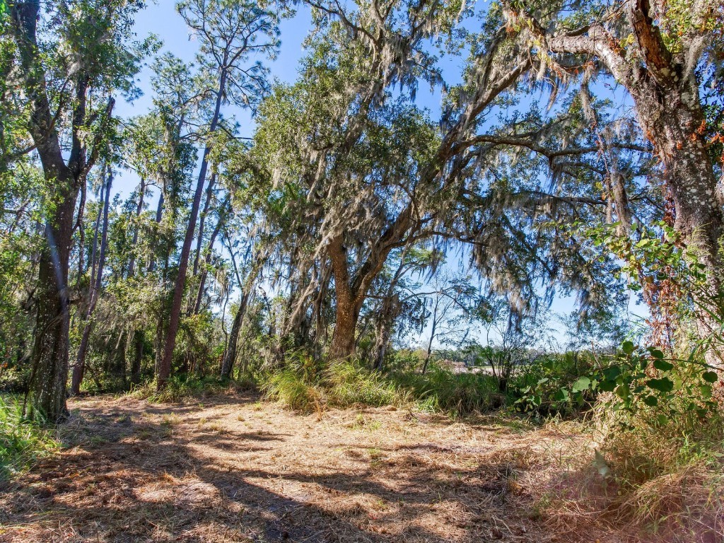 Drawdy Road Plant City FL 33567 TB8445118 image5