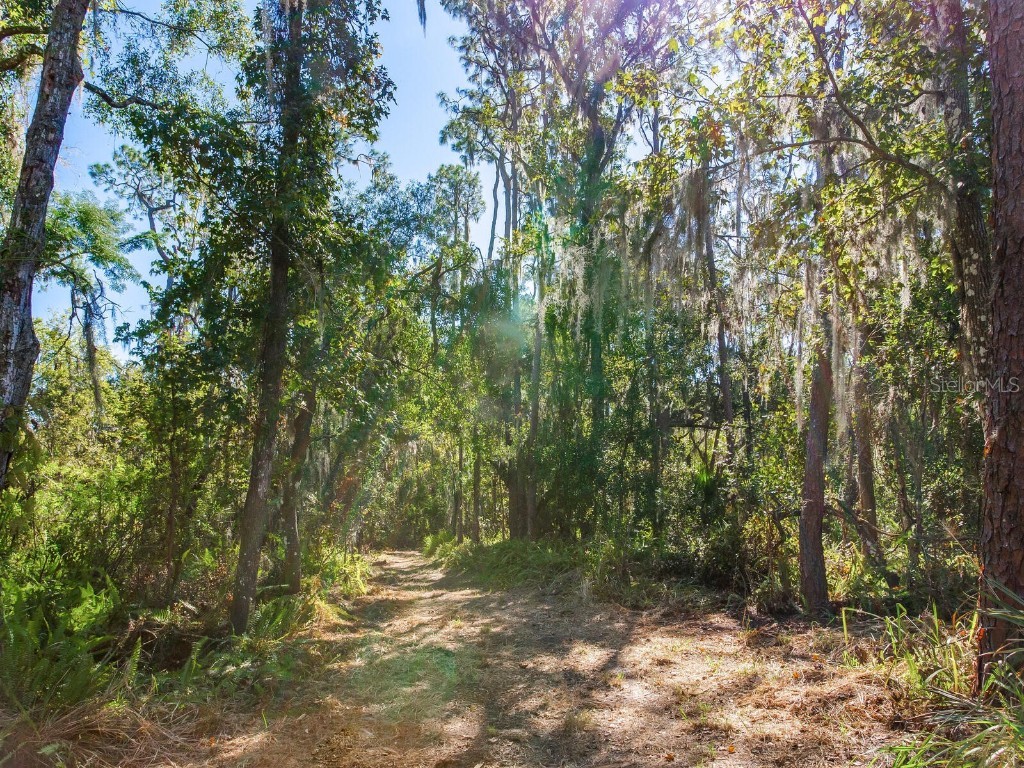 Drawdy Road Plant City FL 33567 TB8445118 image6