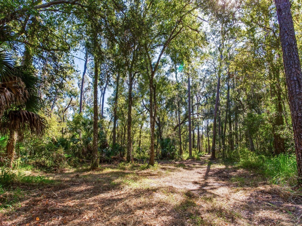 Drawdy Road Plant City FL 33567 TB8445118 image7