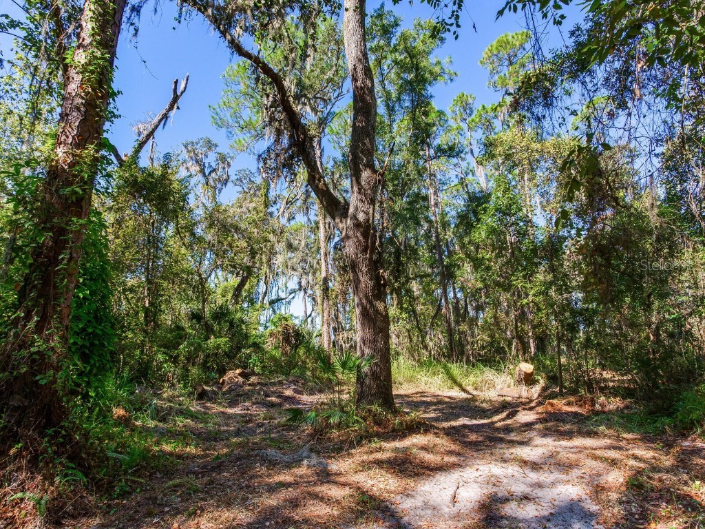 Drawdy Road Plant City FL 33567 TB8445118 image8