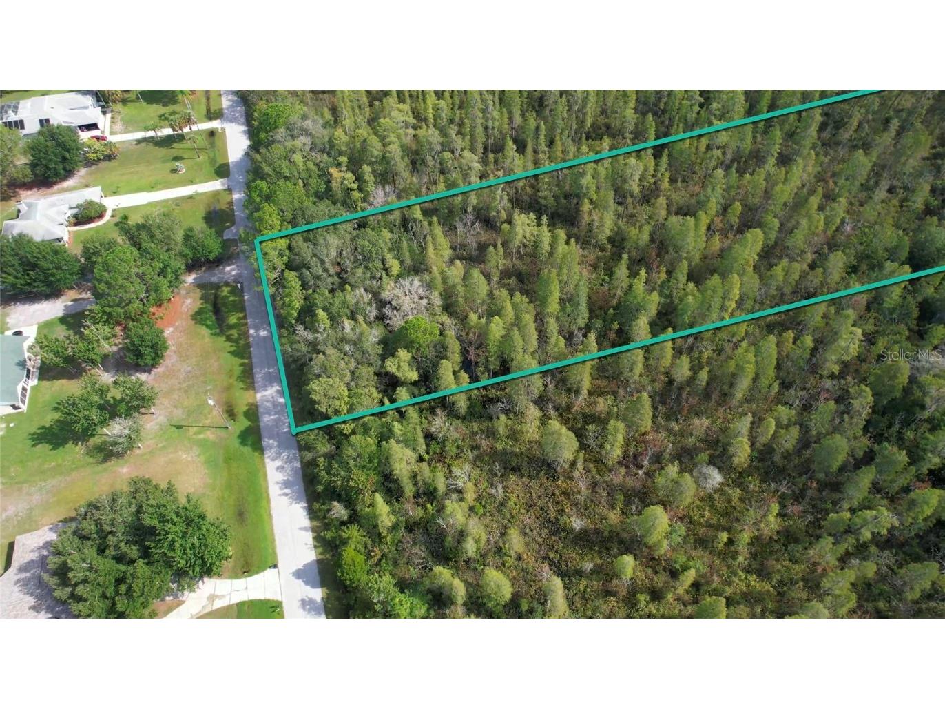 Drifting Sand Drive Wesley Chapel FL 33544 N6124521 image1