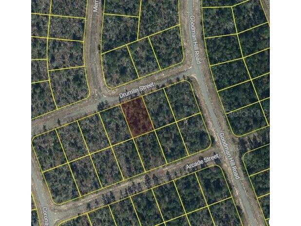 Drumlin Street Chipley FL 32428 O6320006 image2