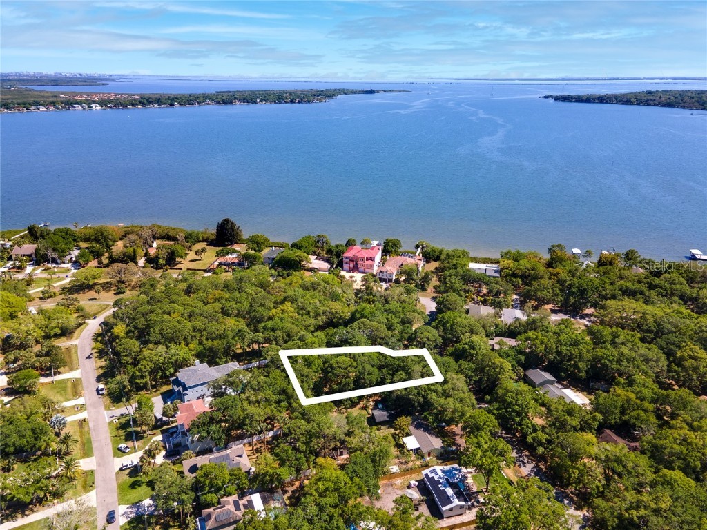 Duane Avenue Oldsmar FL 34677 T3363951 image1