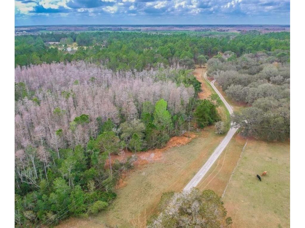 Duboise Drive Clermont FL 34711 S5138235 image1