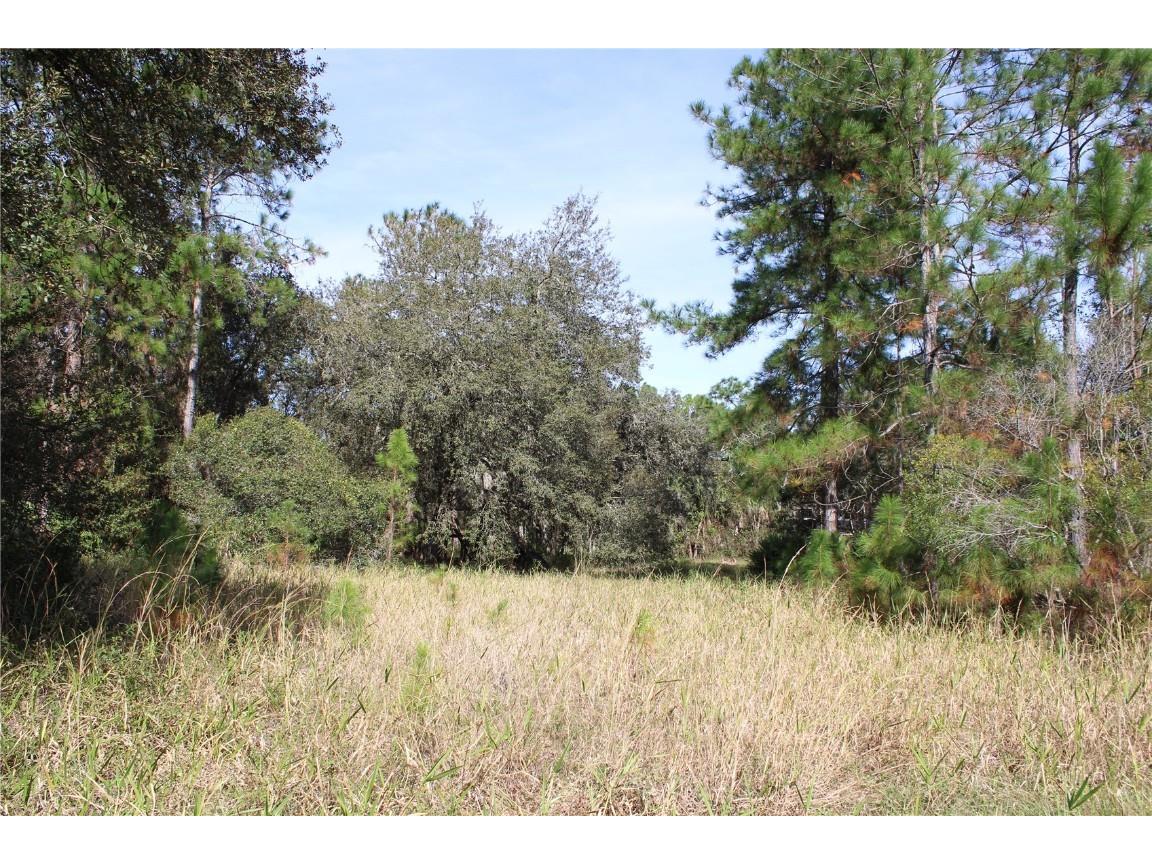 Duboise Drive Clermont FL 34711 S5138235 image11