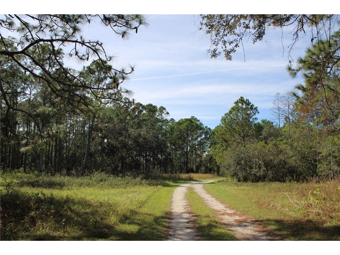 Duboise Drive Clermont FL 34711 S5138235 image12