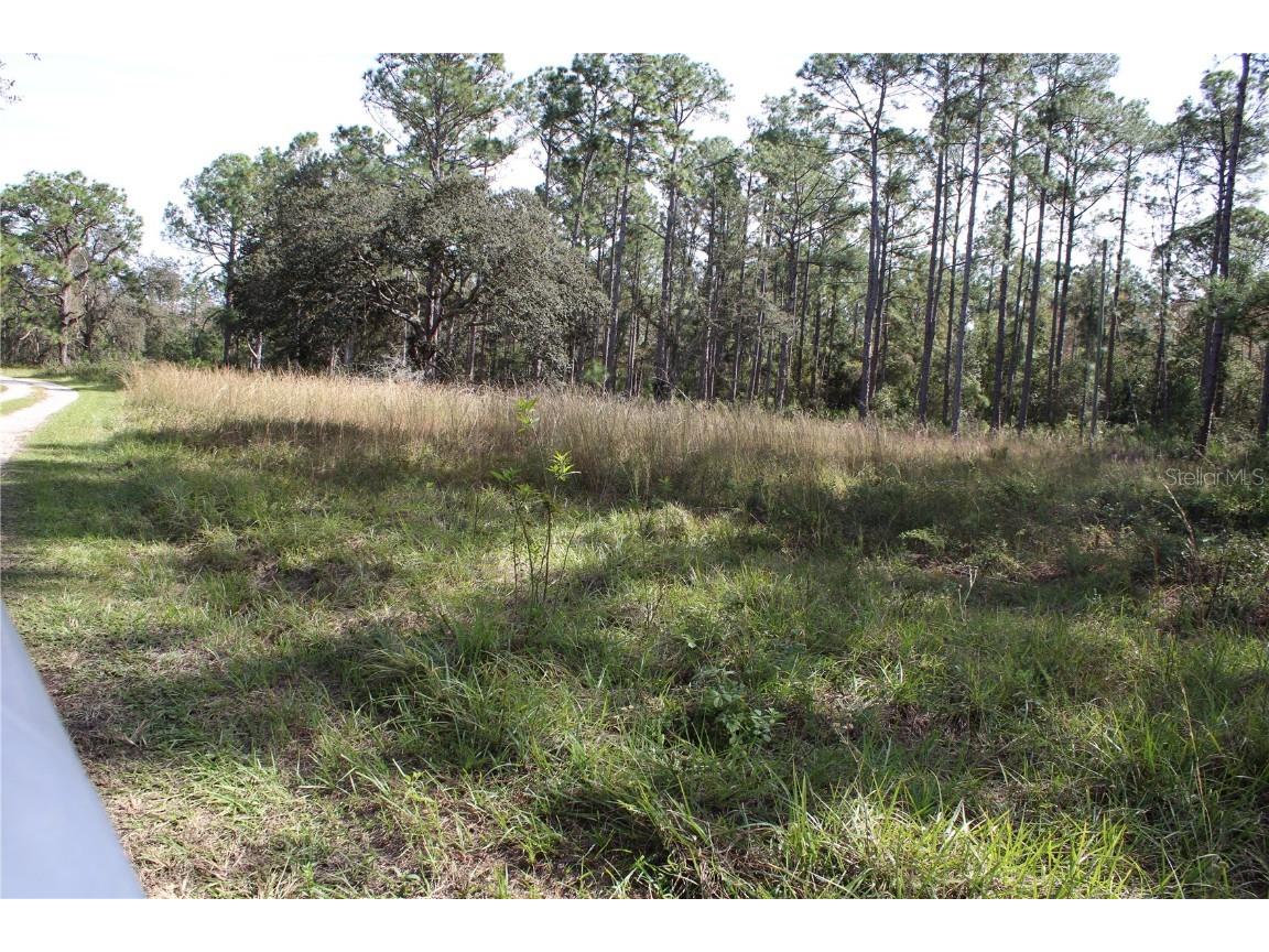 Duboise Drive Clermont FL 34711 S5138235 image13