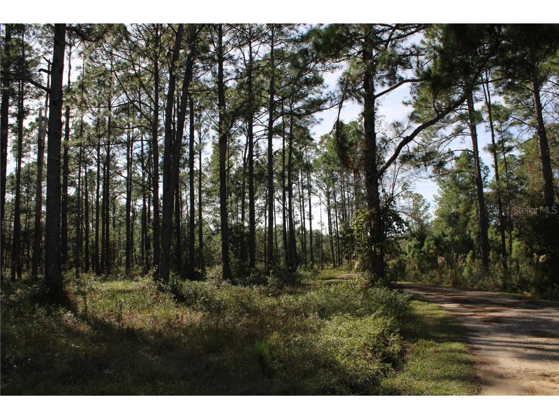 Duboise Drive Clermont FL 34711 S5138235 image14