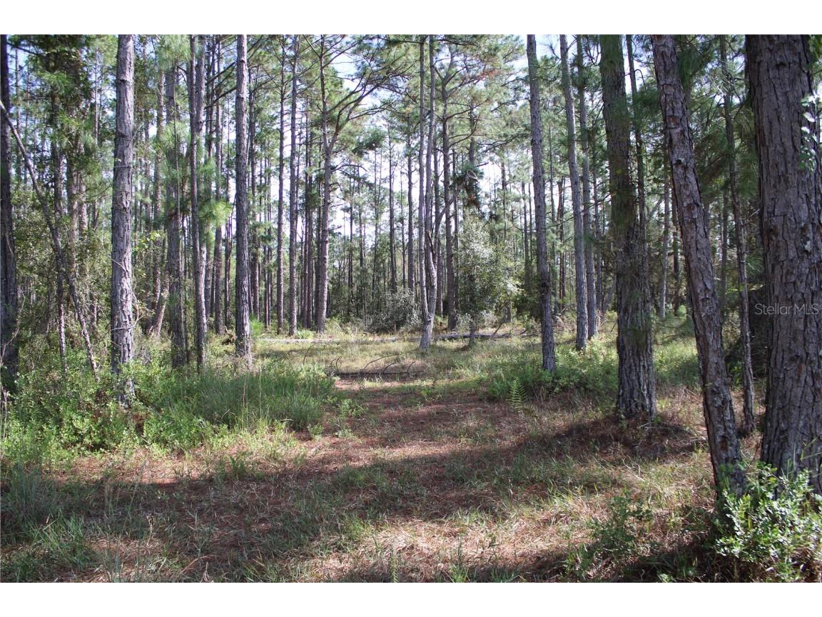 Duboise Drive Clermont FL 34711 S5138235 image17