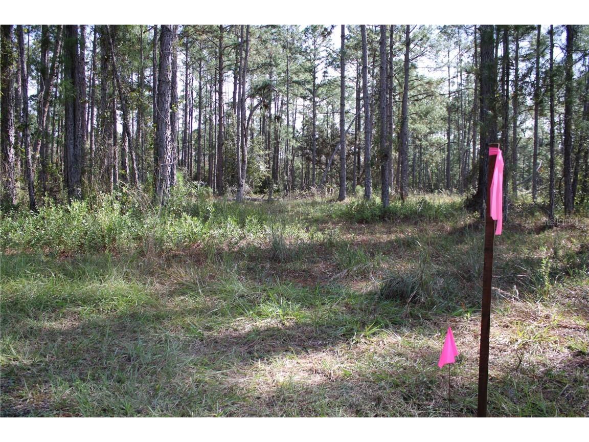 Duboise Drive Clermont FL 34711 S5138235 image19