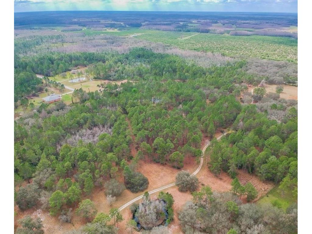 Duboise Drive Clermont FL 34711 S5138235 image3