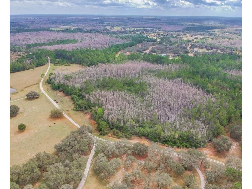 Duboise Drive Clermont FL 34711 S5138235 image4