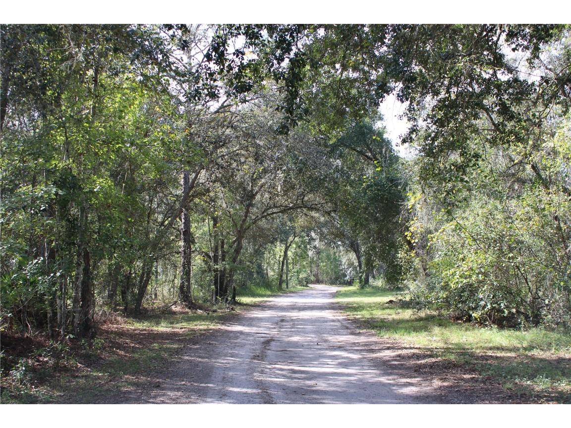 Duboise Drive Clermont FL 34711 S5138235 image5