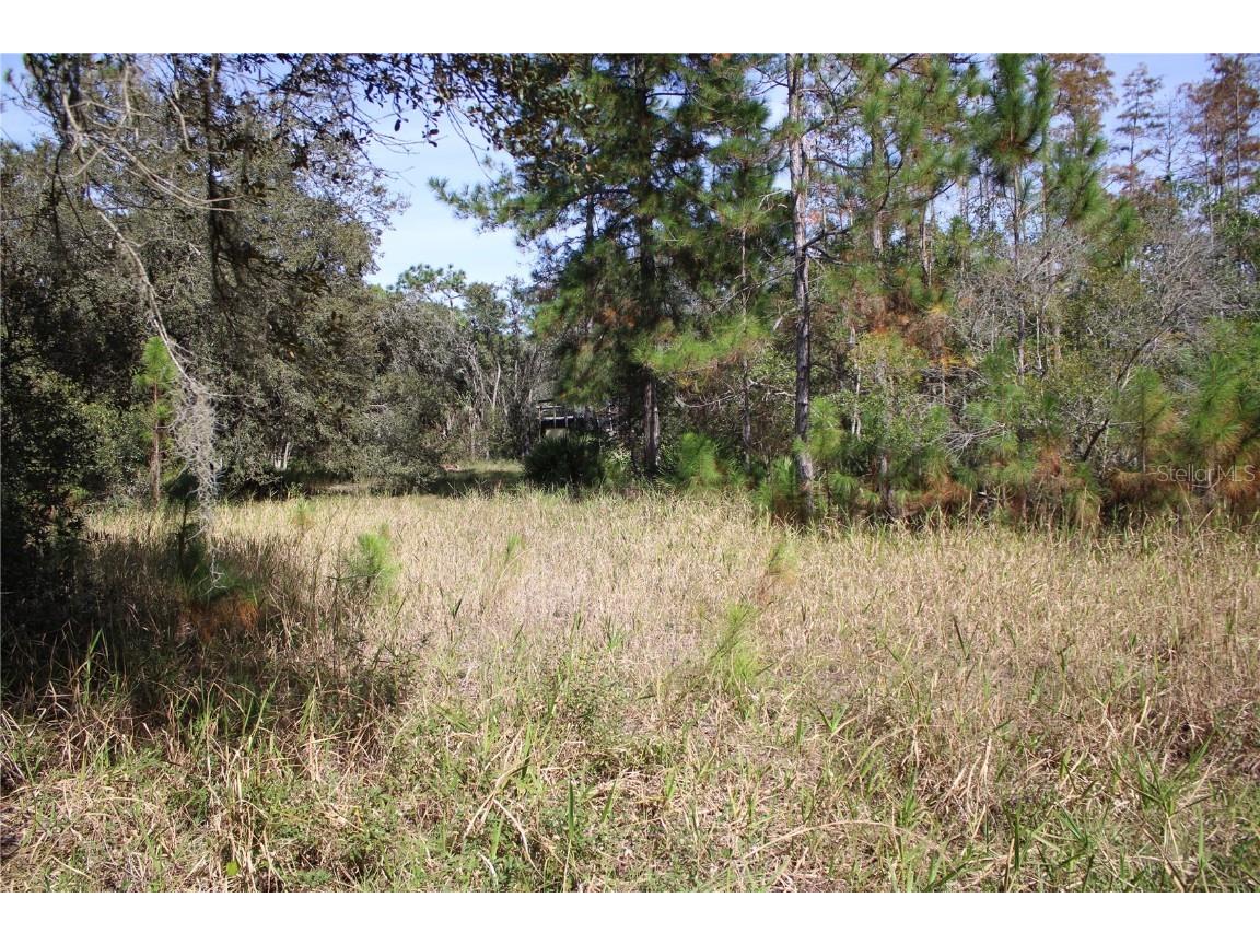 Duboise Drive Clermont FL 34711 S5138235 image7